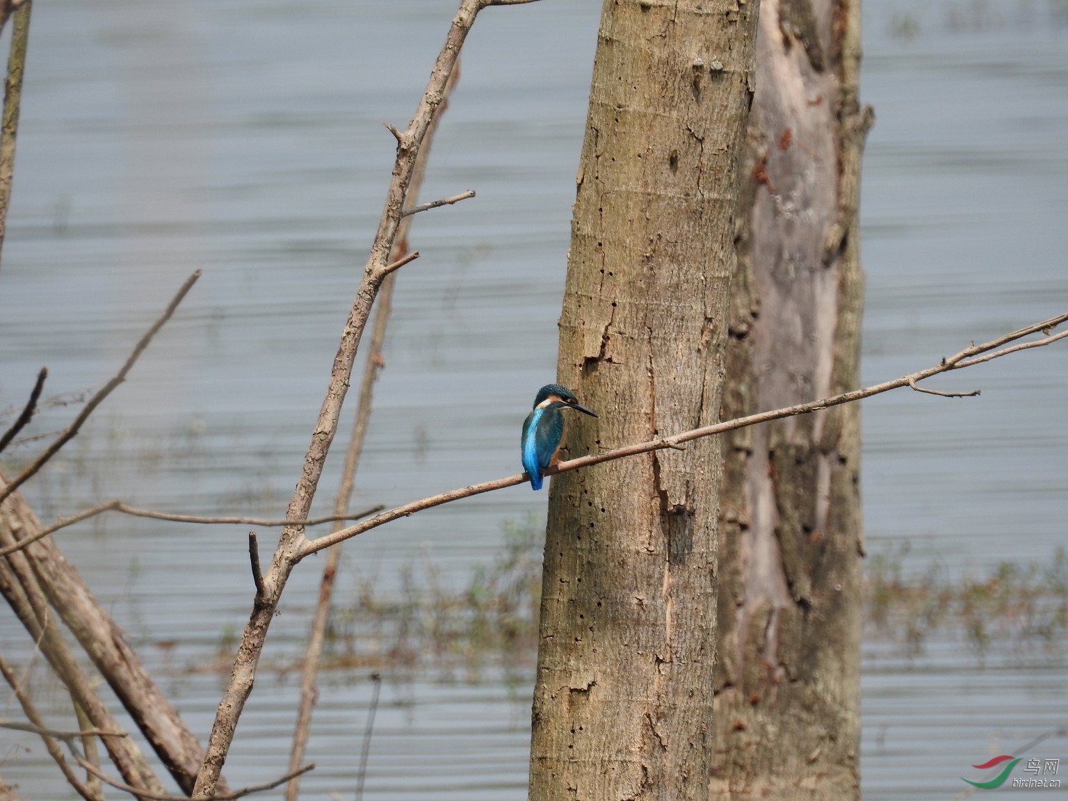DSCN9390.JPG
