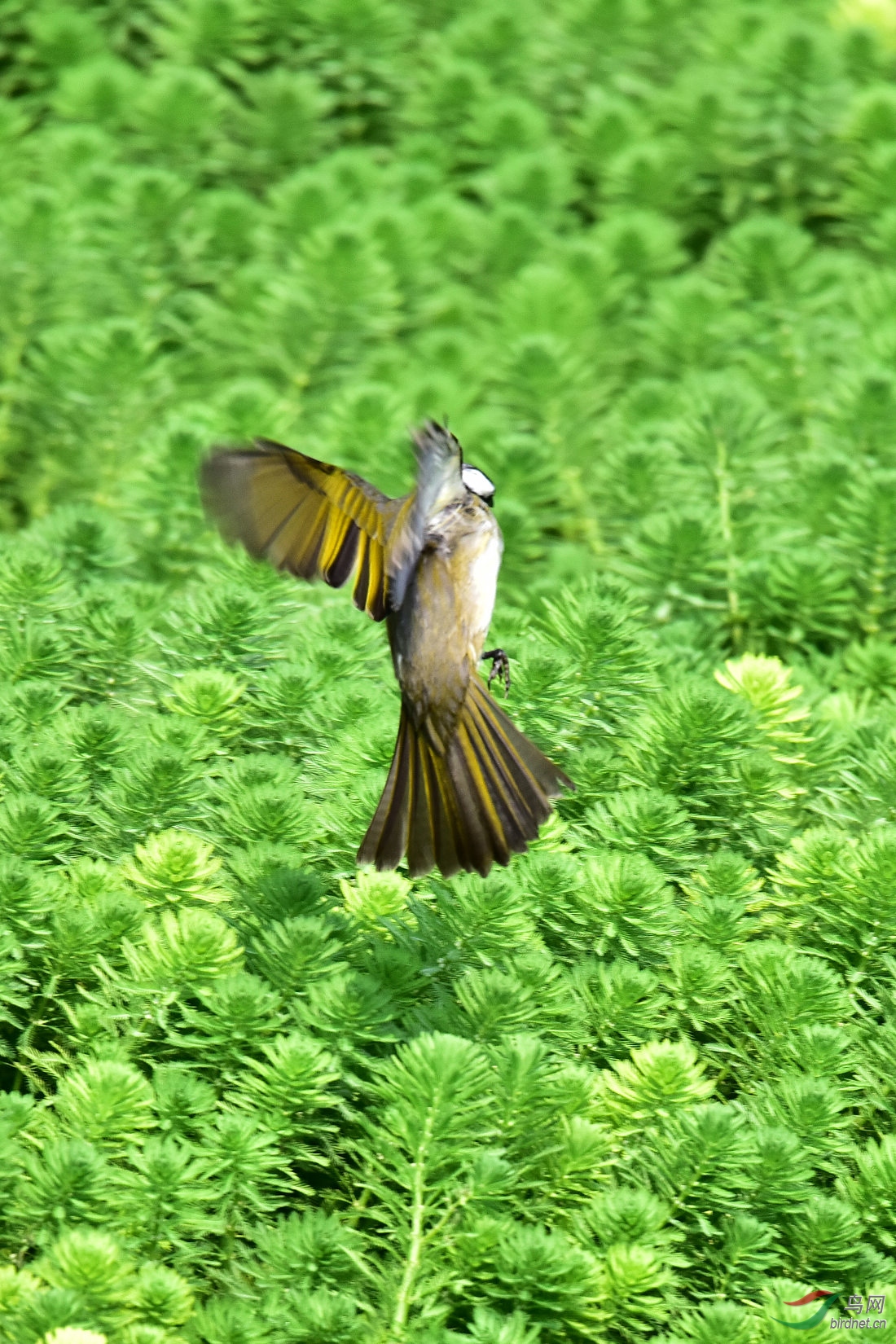 DSC_5686.JPG