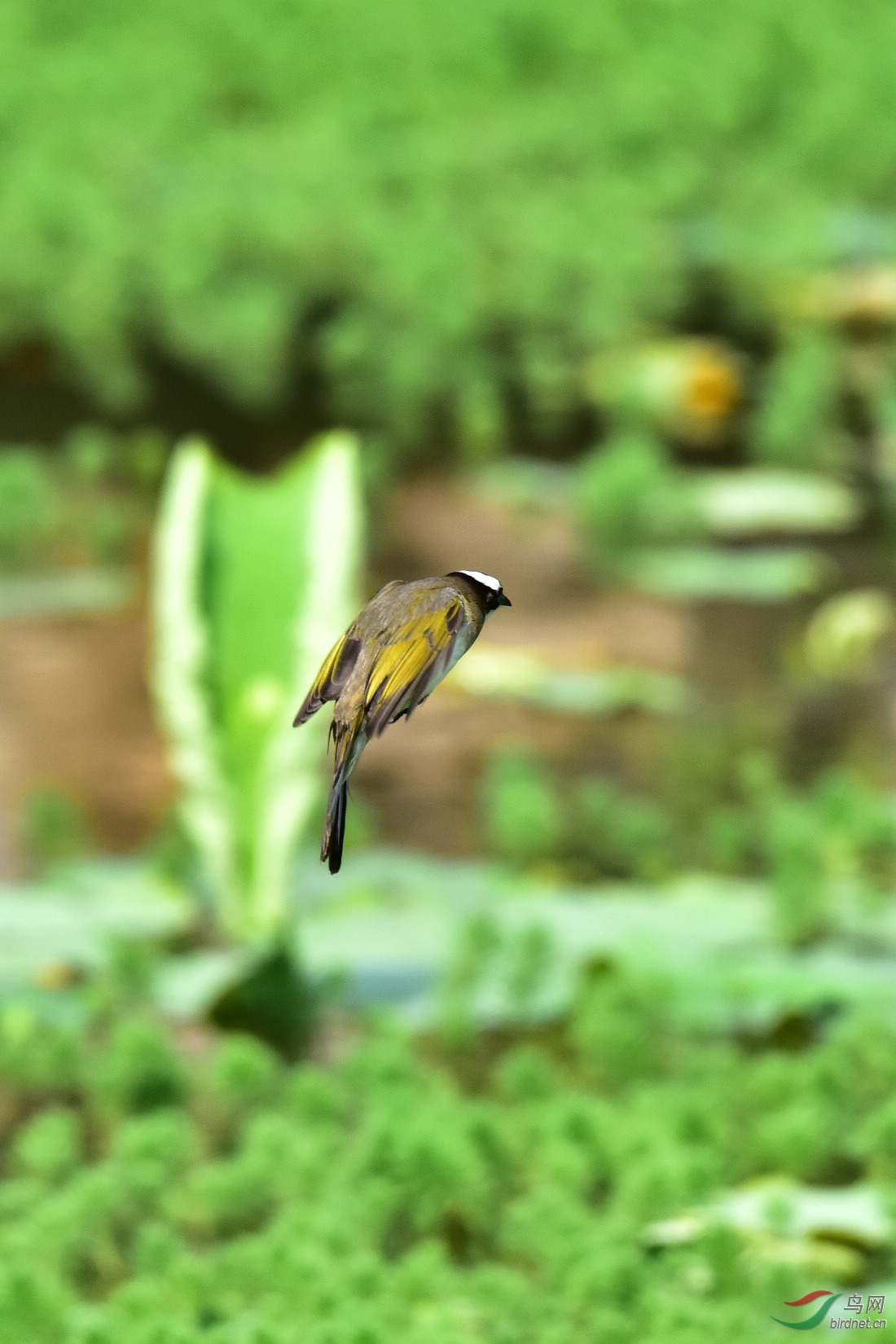 DSC_5683.JPG