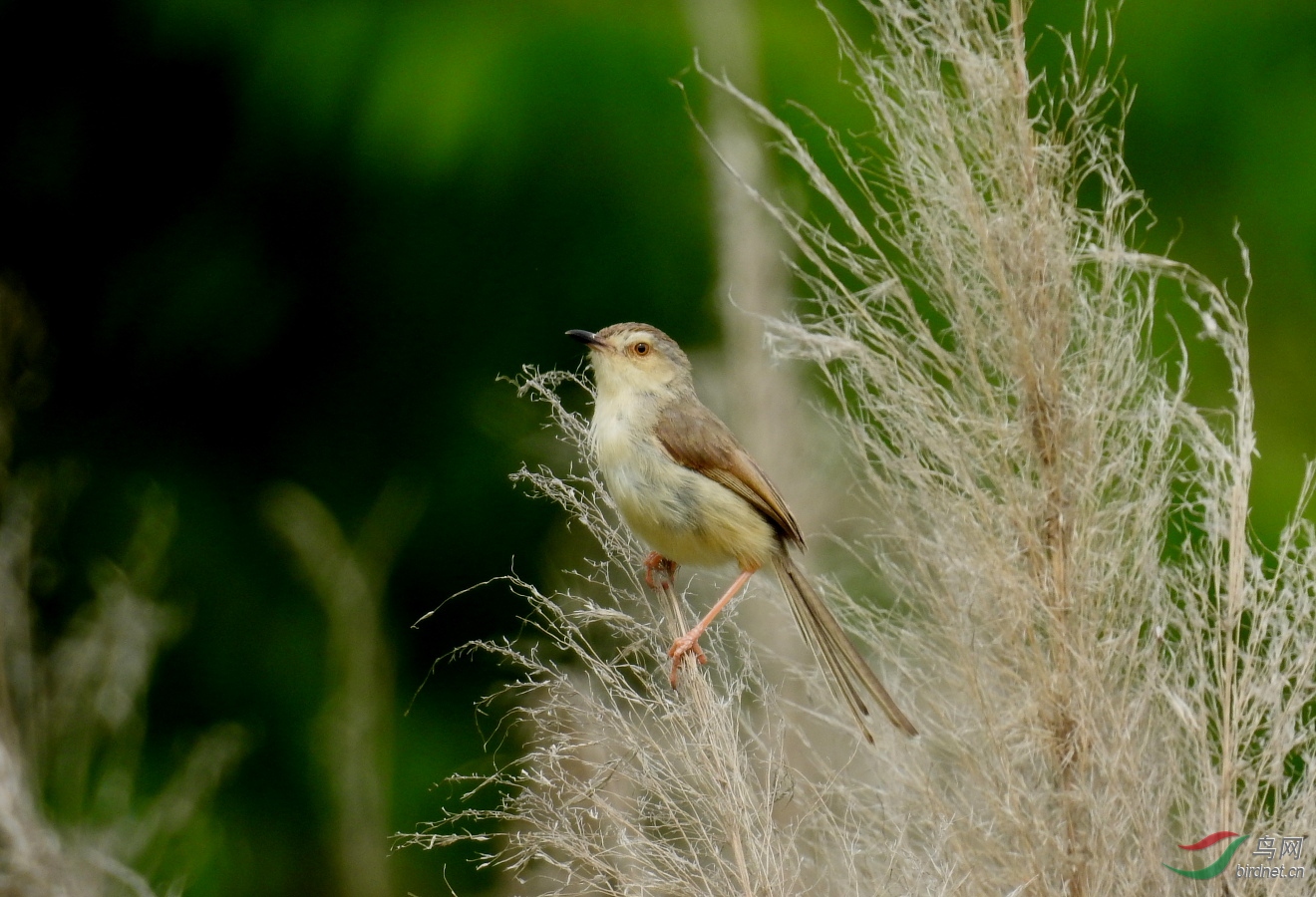 DSCN9343.JPG