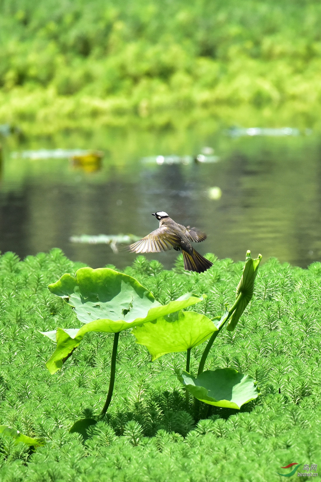 DSC_5379.JPG