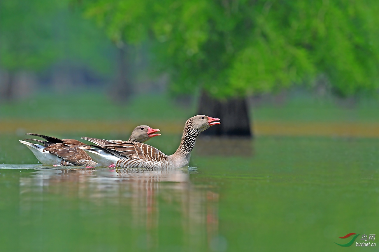 DSC_1067_����.jpg