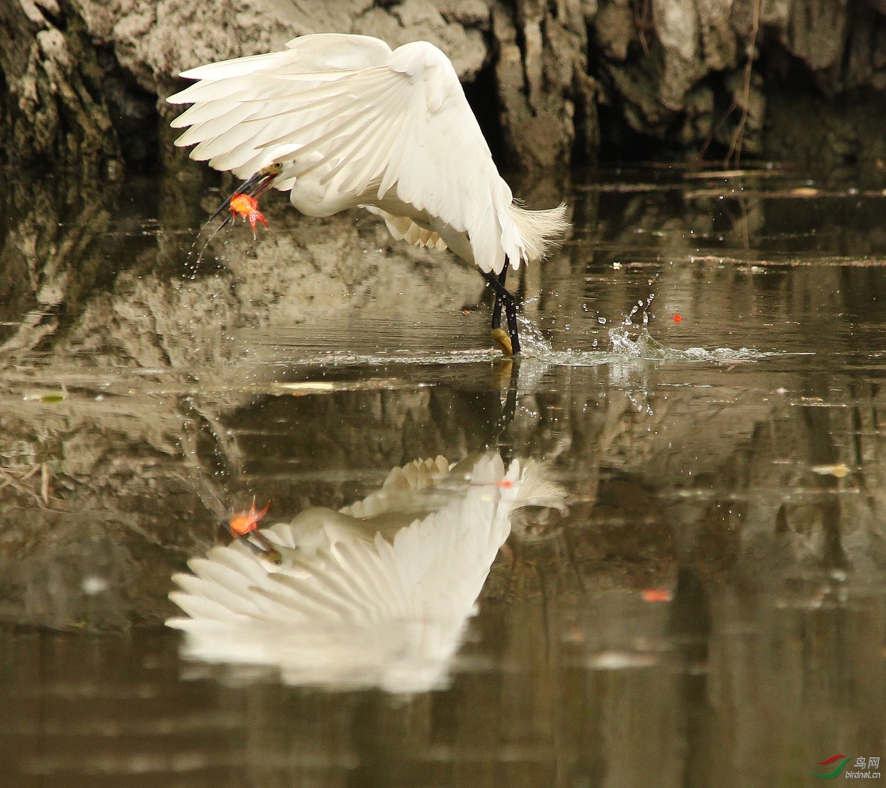 ���� CK8O9569.JPG