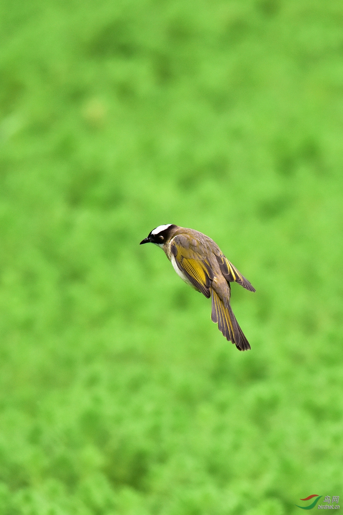 DSC_5310.JPG