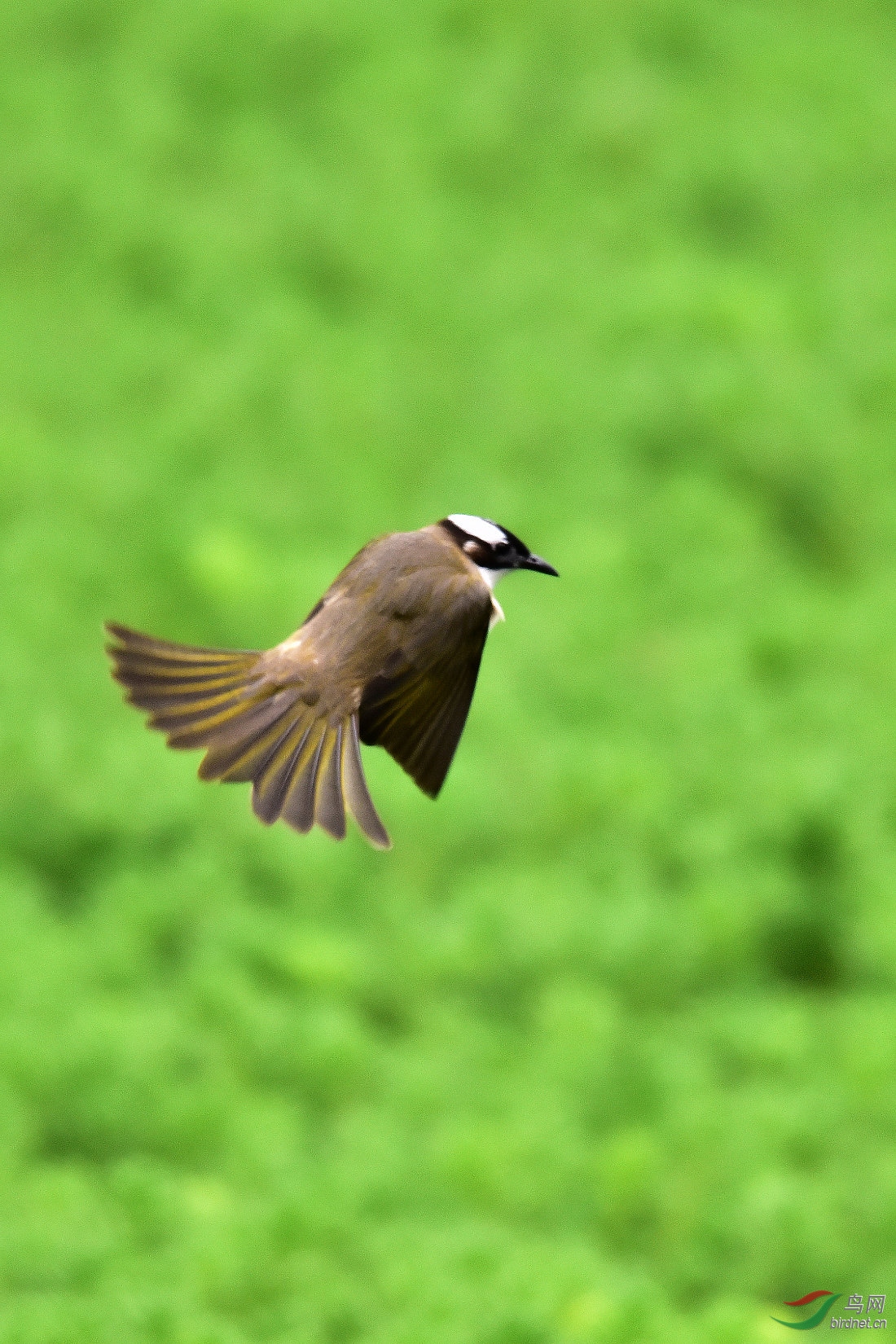 DSC_5304.JPG