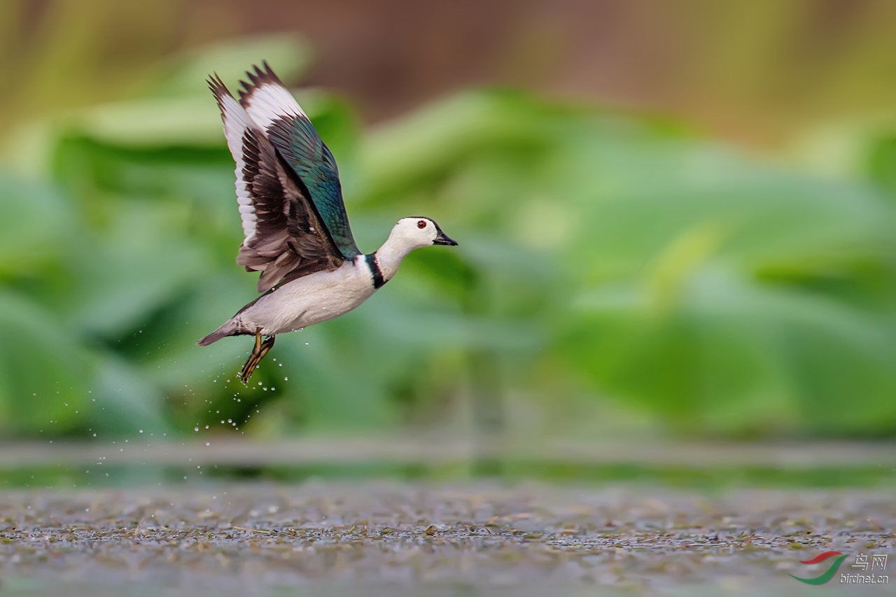 3Y9A7797-1.jpg