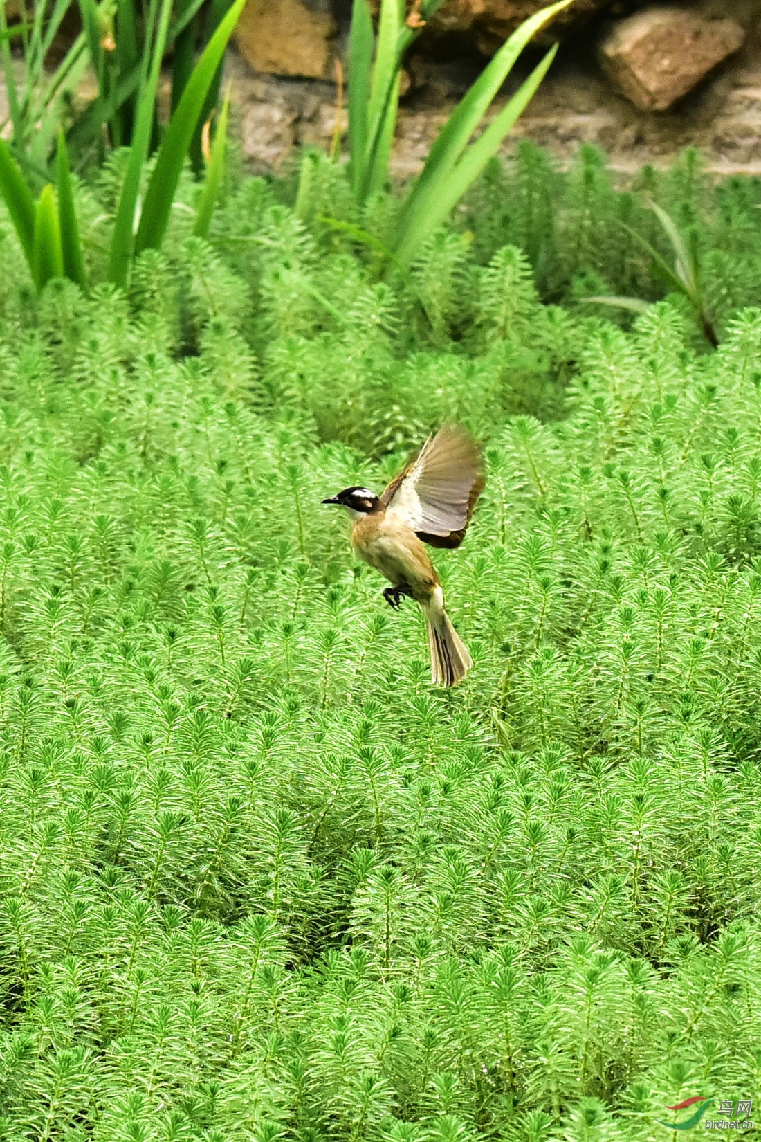 DSC_0155.JPG