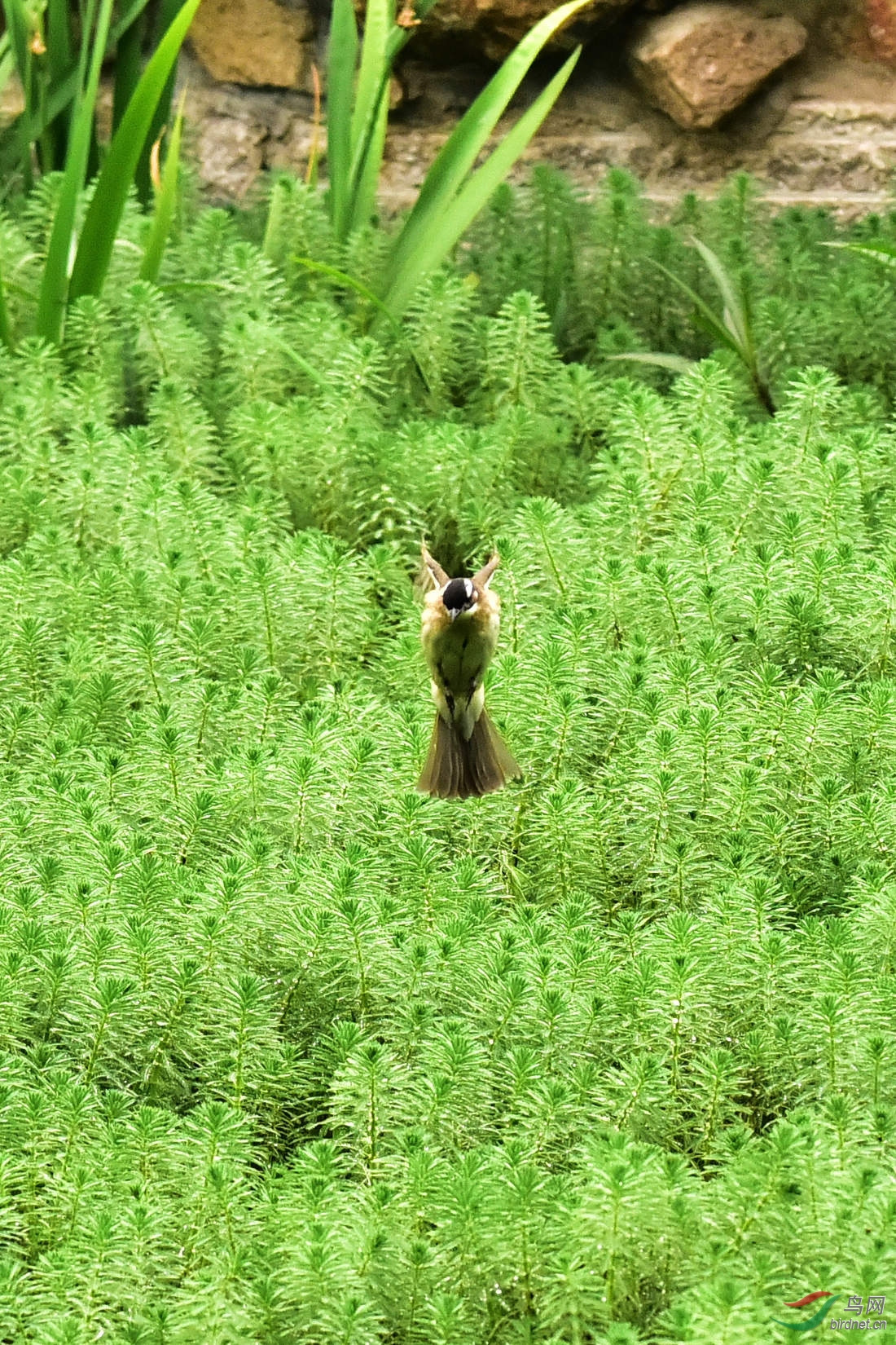 DSC_0154.JPG