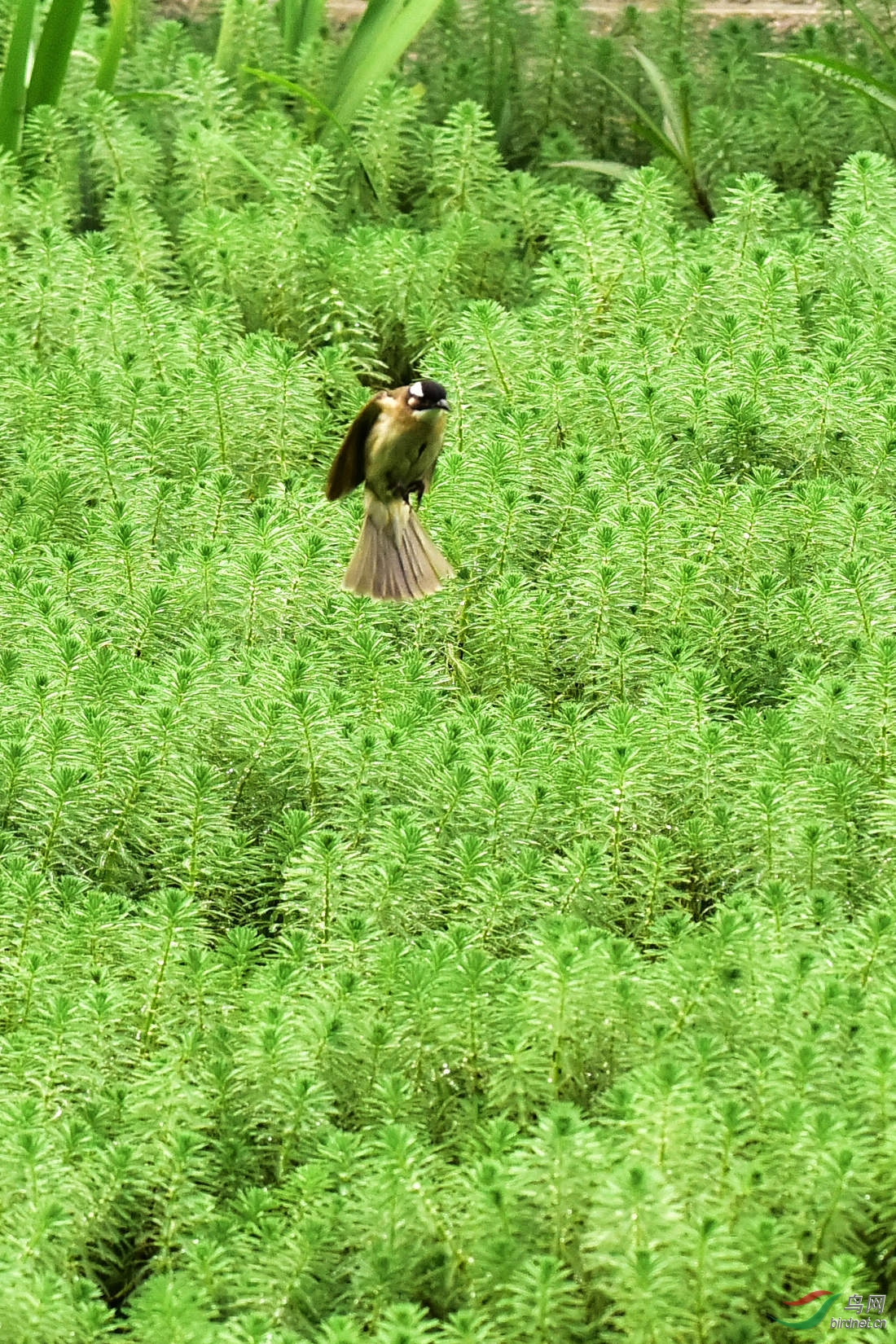 DSC_0153.JPG