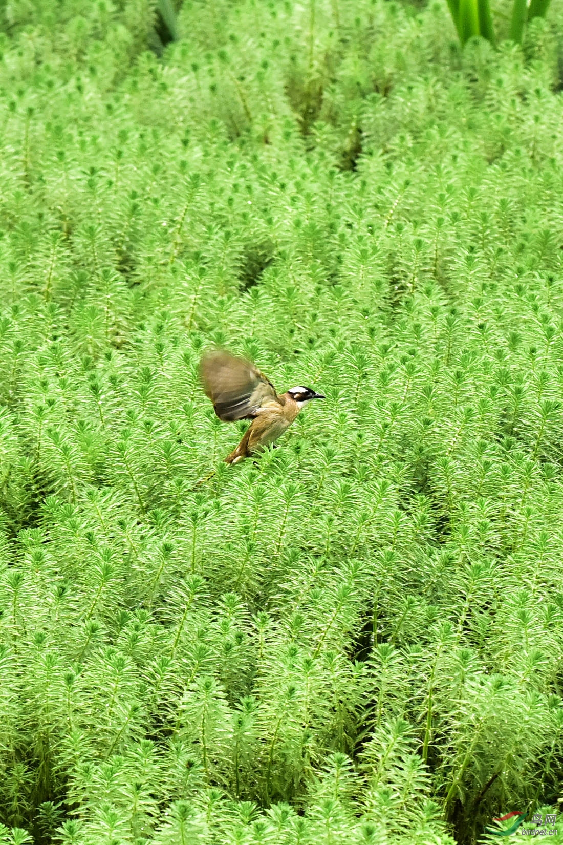 DSC_0152.JPG