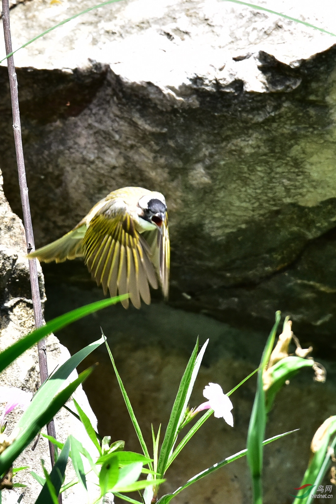 DSC_1200.JPG