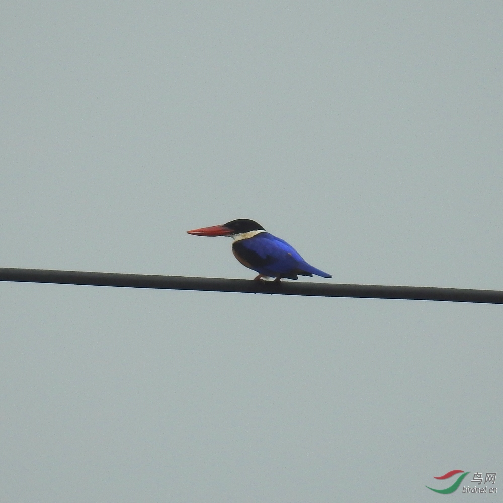 DSCN2274.JPG