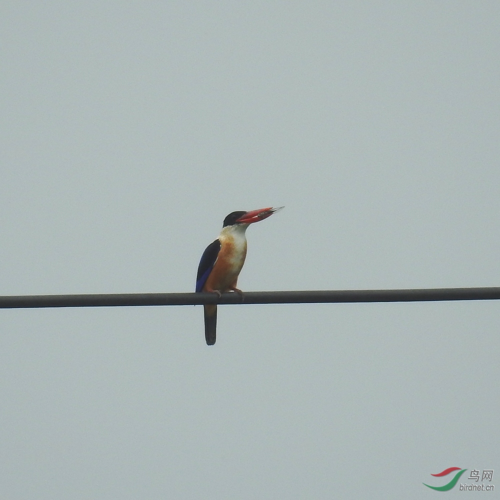 DSCN2278.JPG
