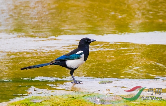 _W1A0394 - ����.jpg