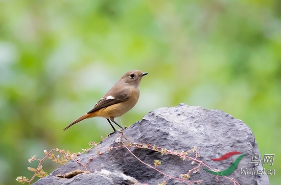 _W1A0540-1 - ���� (2).jpg