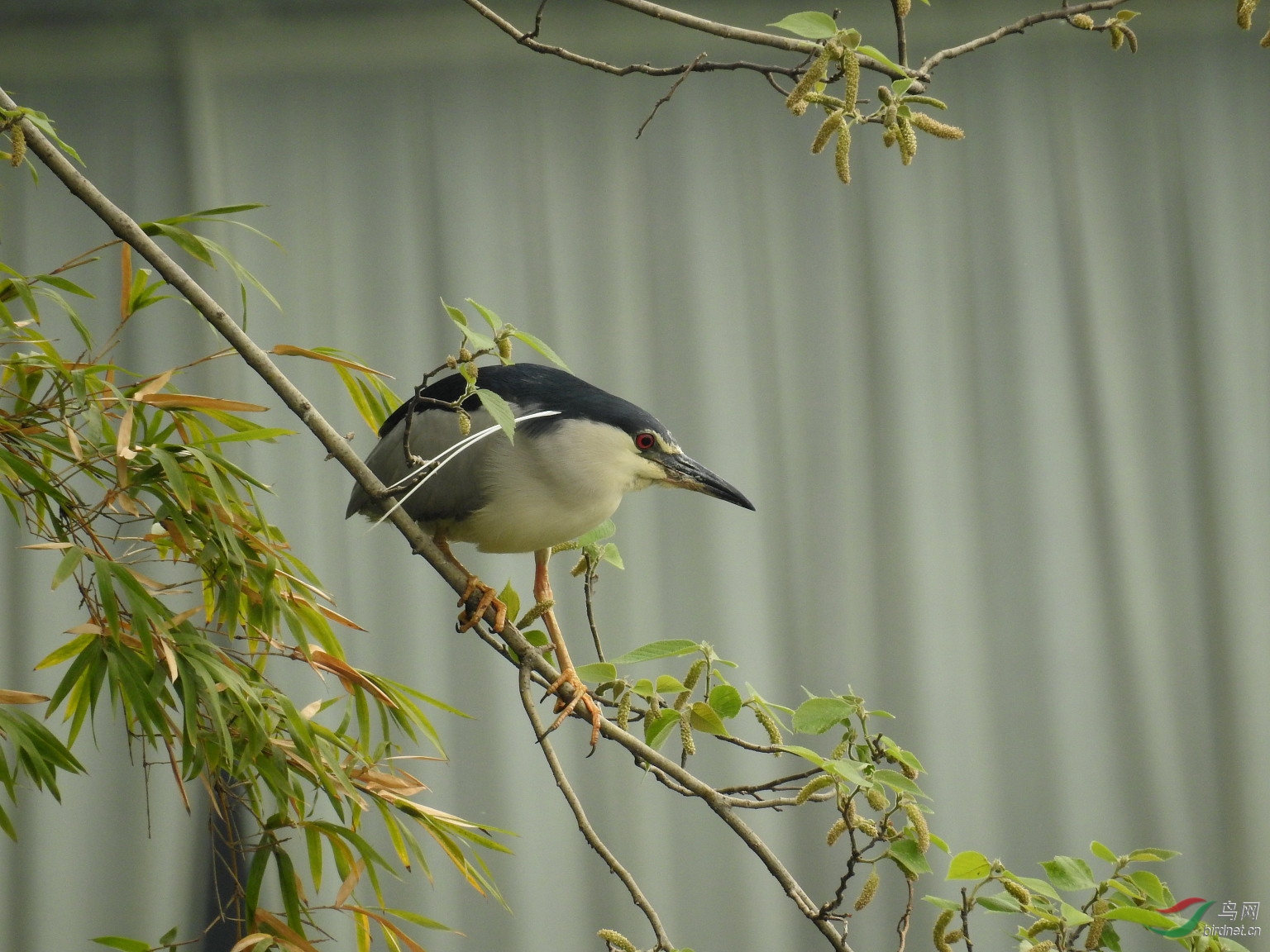 DSCN7766.JPG