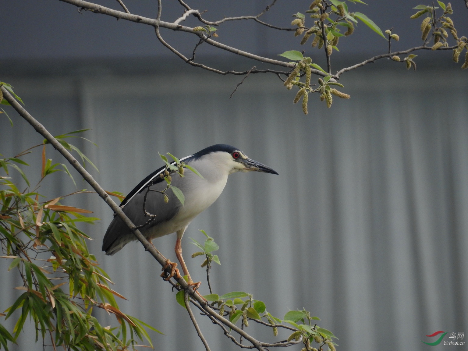 DSCN7770.JPG