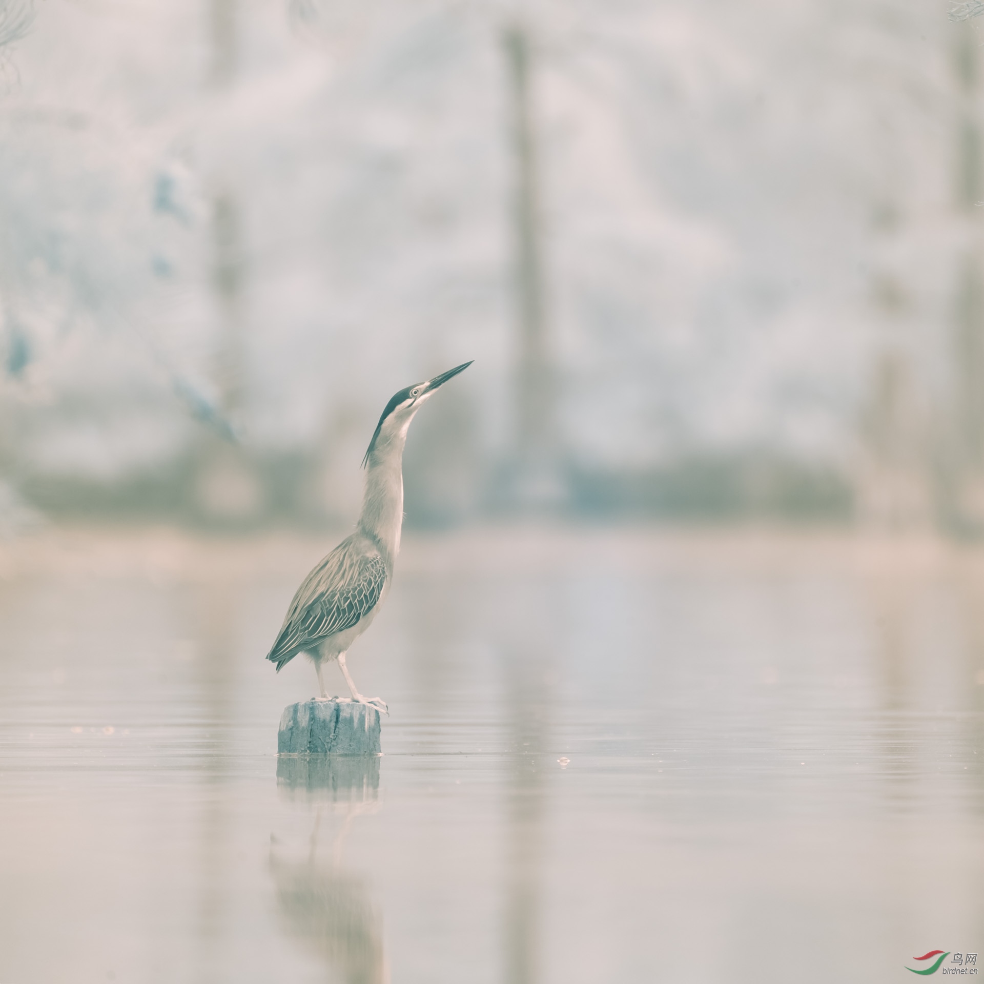 _DSC8736 8748-Pano s.jpg