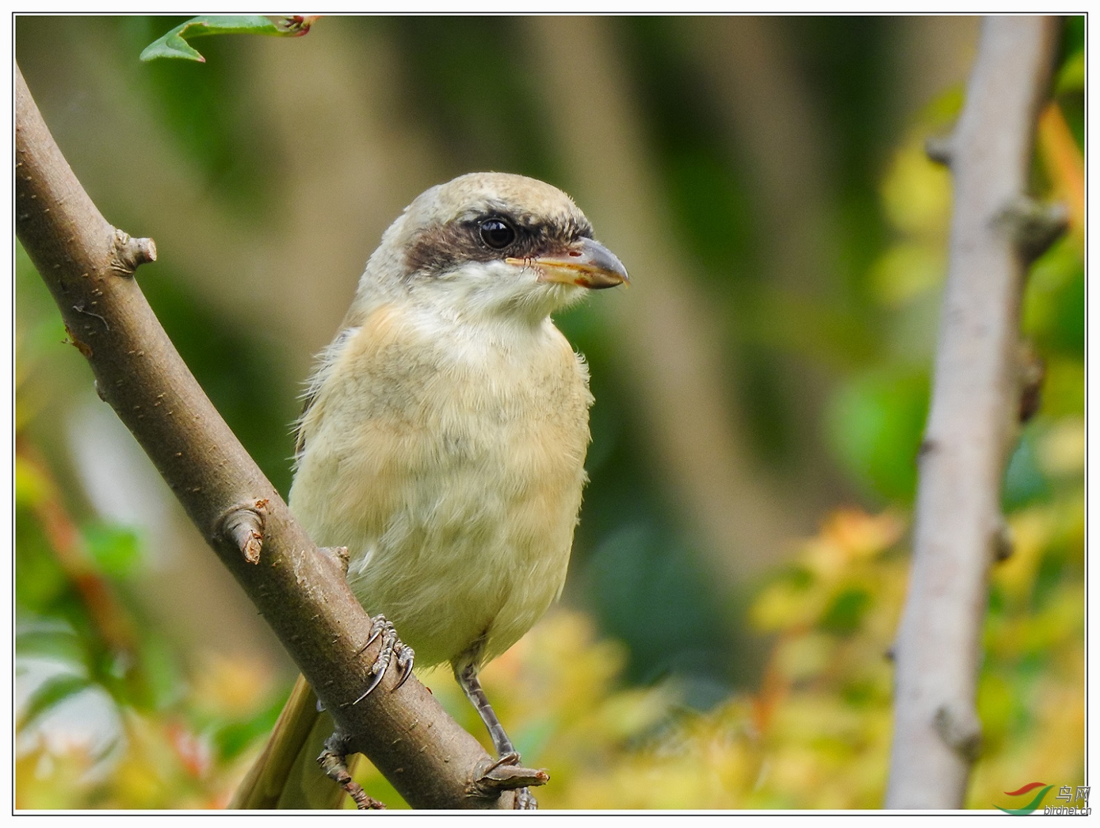 DSCN3597-1.jpg