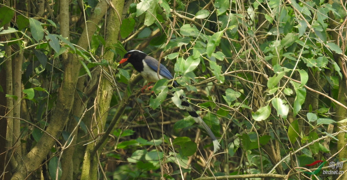 DSCN9370.JPG