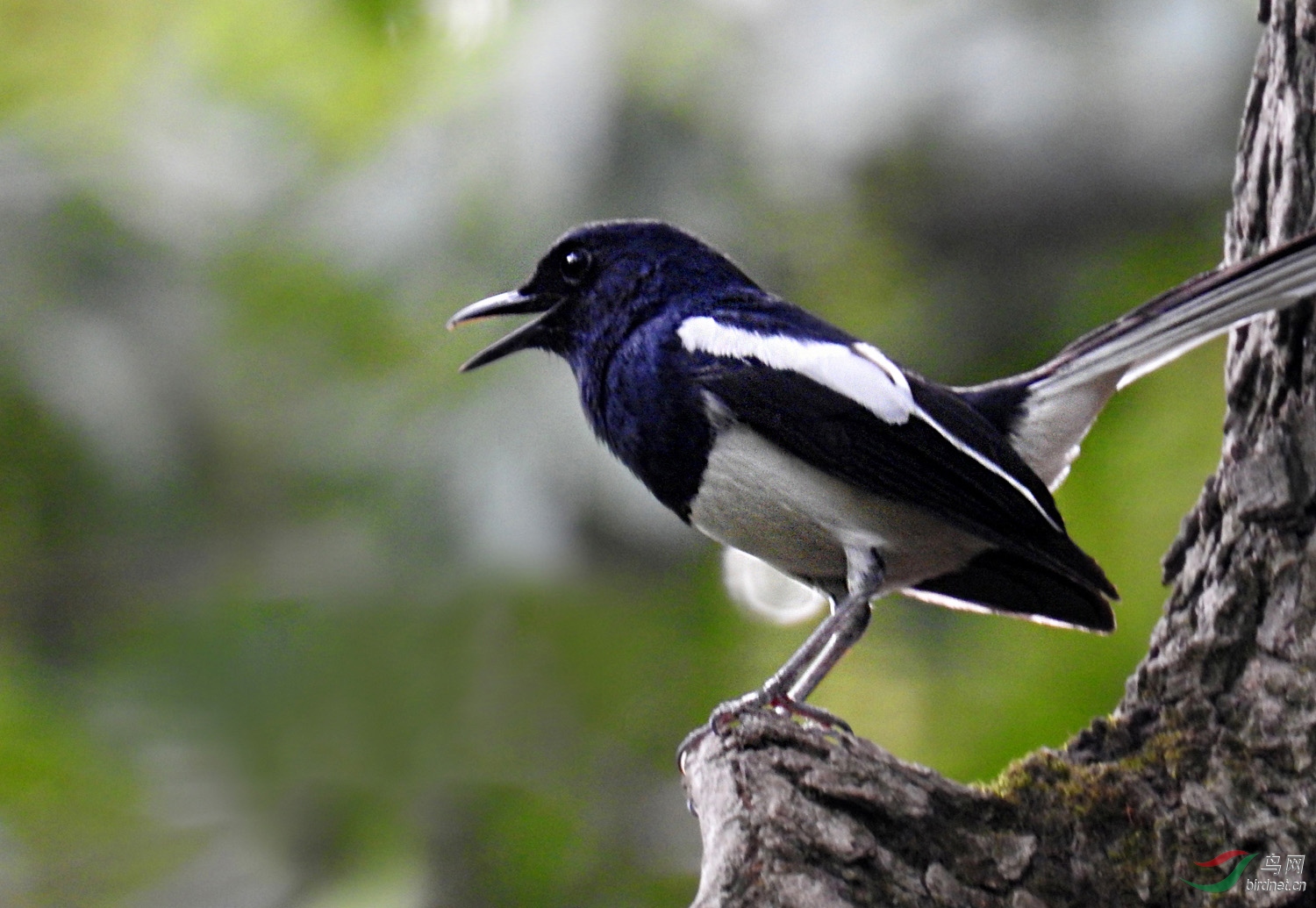 DSCN8214 ����.jpg