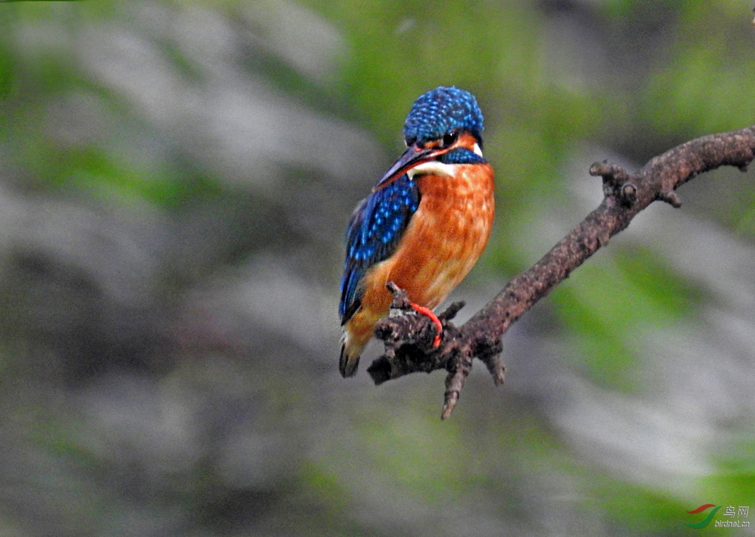 DSCN8262 ����.jpg