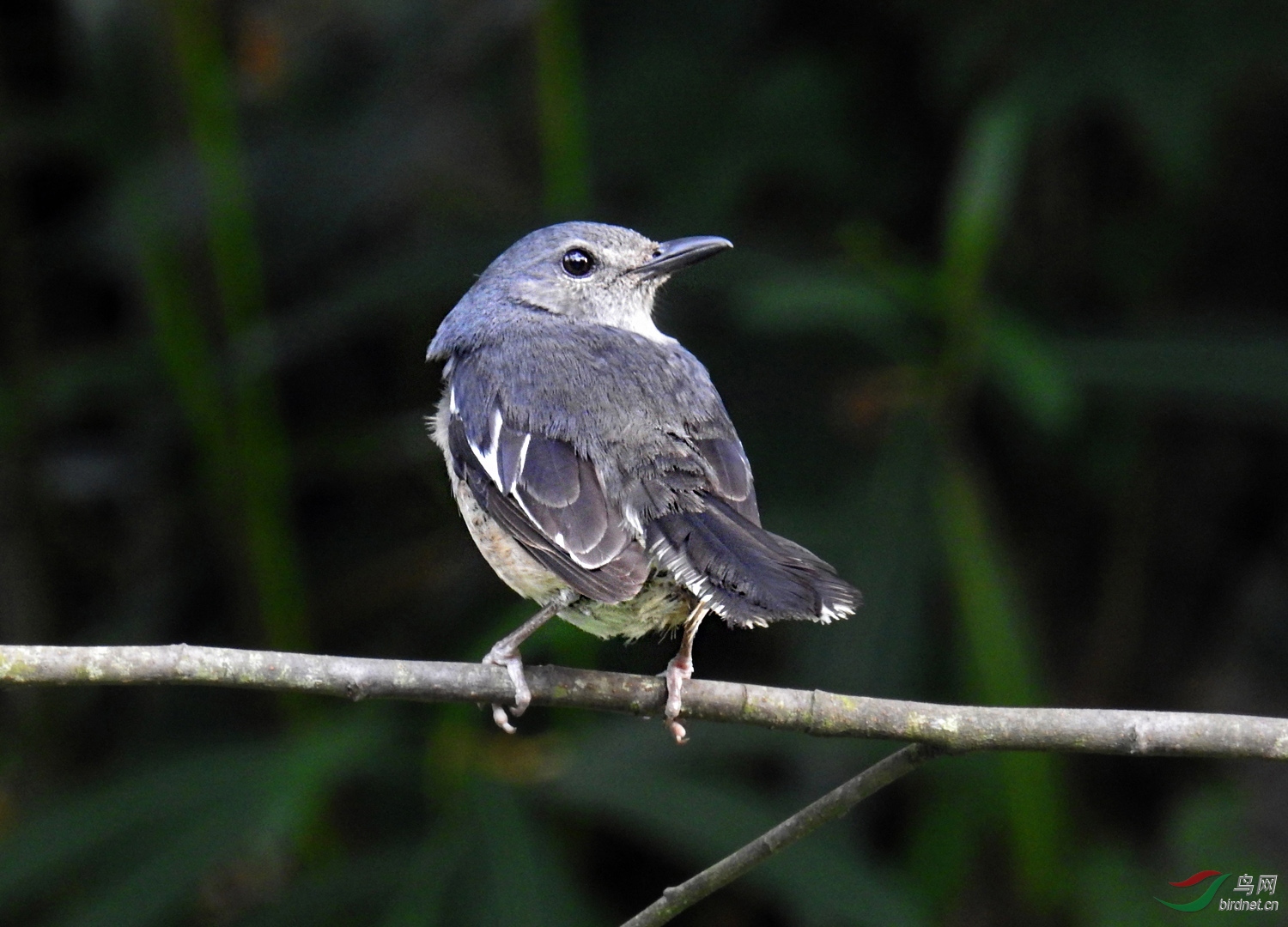 DSCN8259 ����.jpg