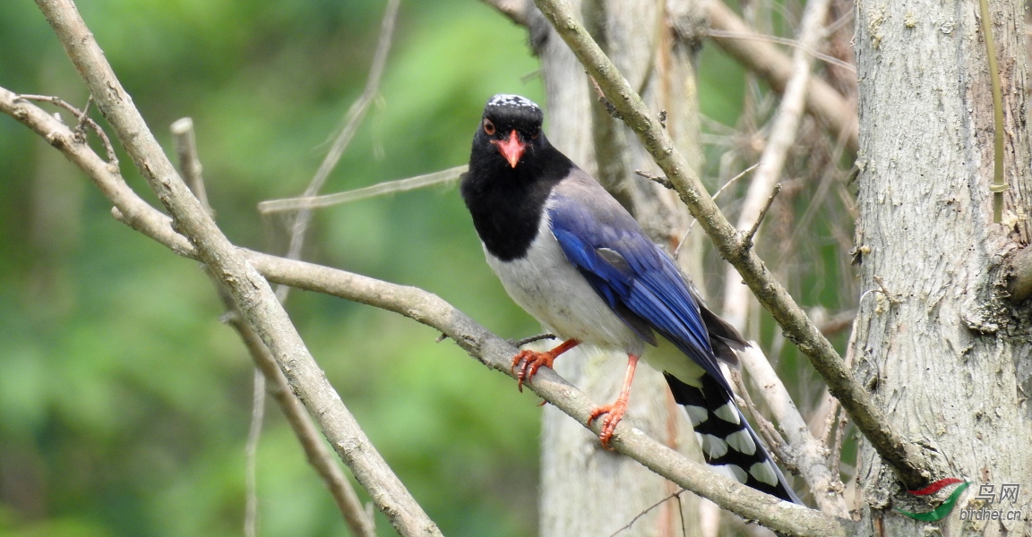 DSCN9348.JPG