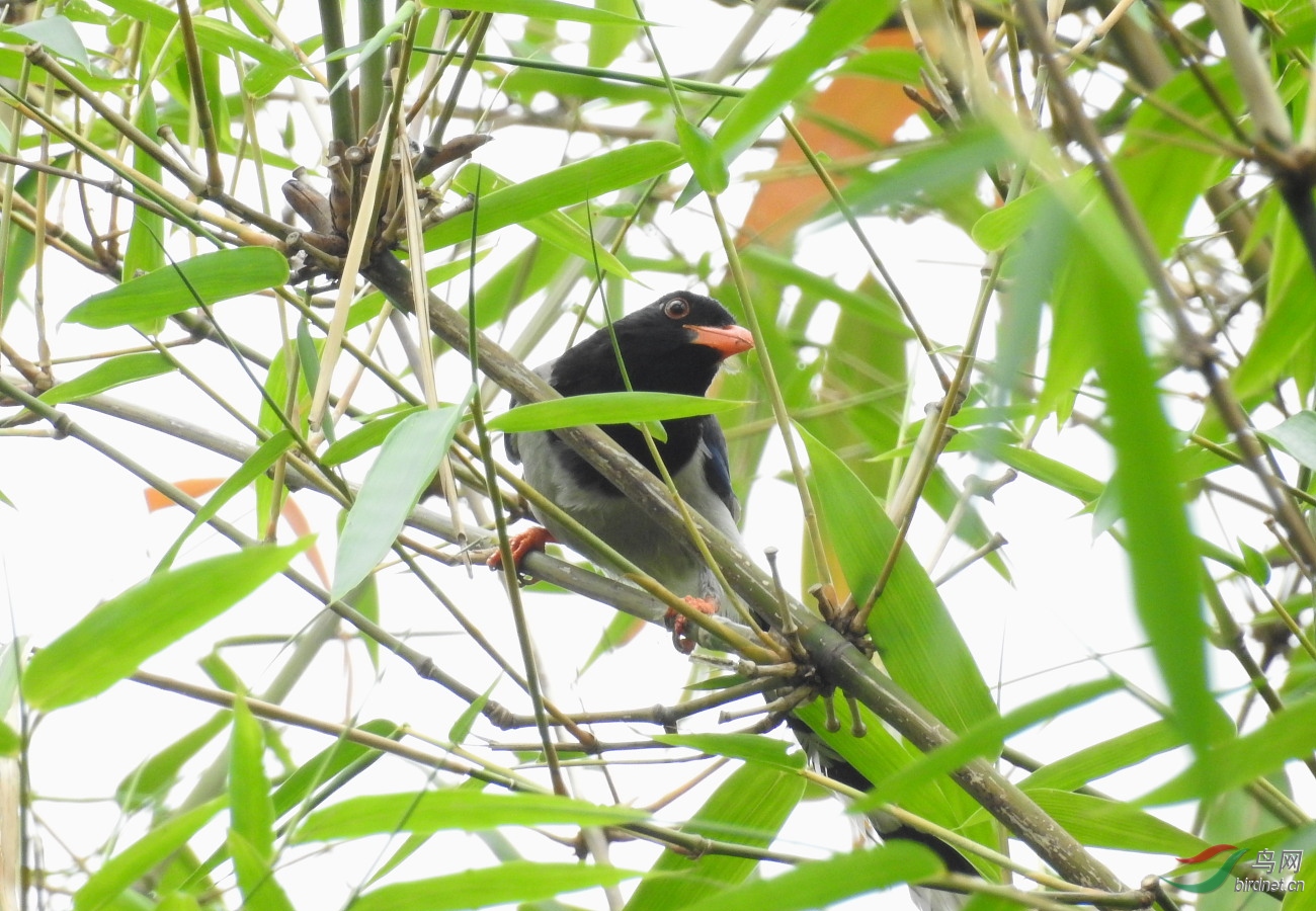 DSCN9610.JPG