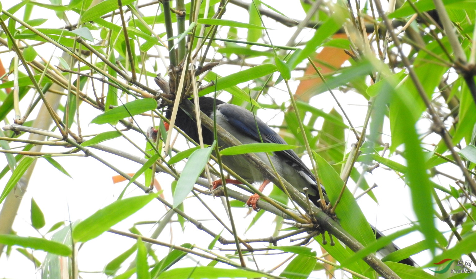 DSCN9614.JPG