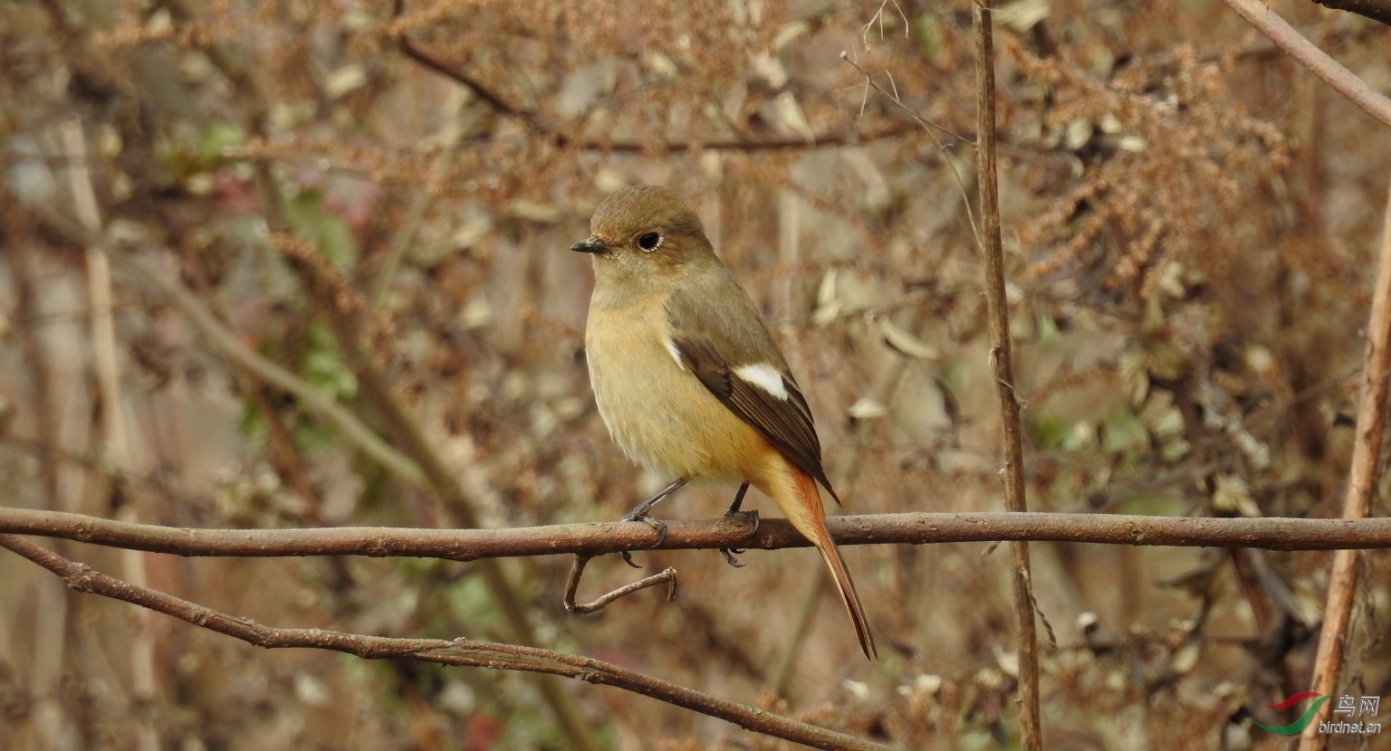 DSCN5592.JPG