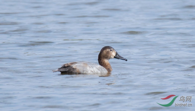 _W1A0814_���� - ���� (2).jpg