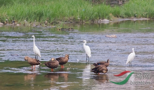 _W1A0829 - ���� (2).jpg