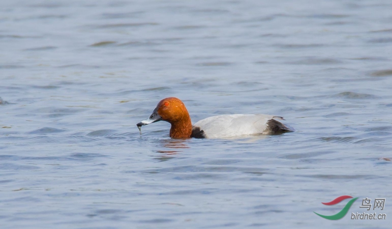 _W1A0831_���� - ���� (2).jpg