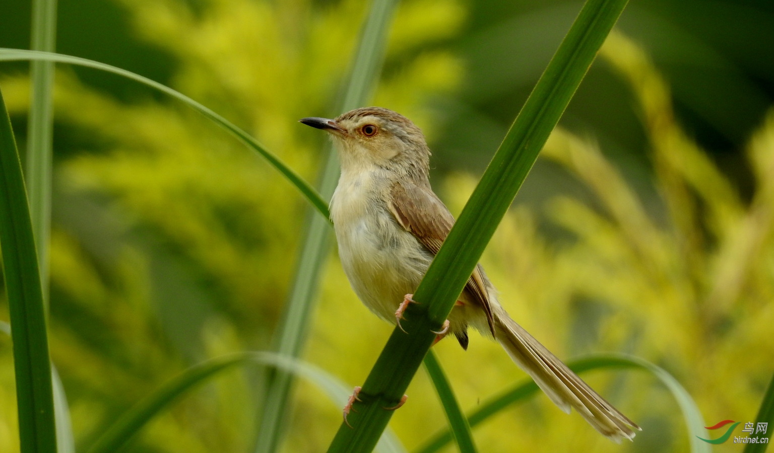 DSCN9331.JPG