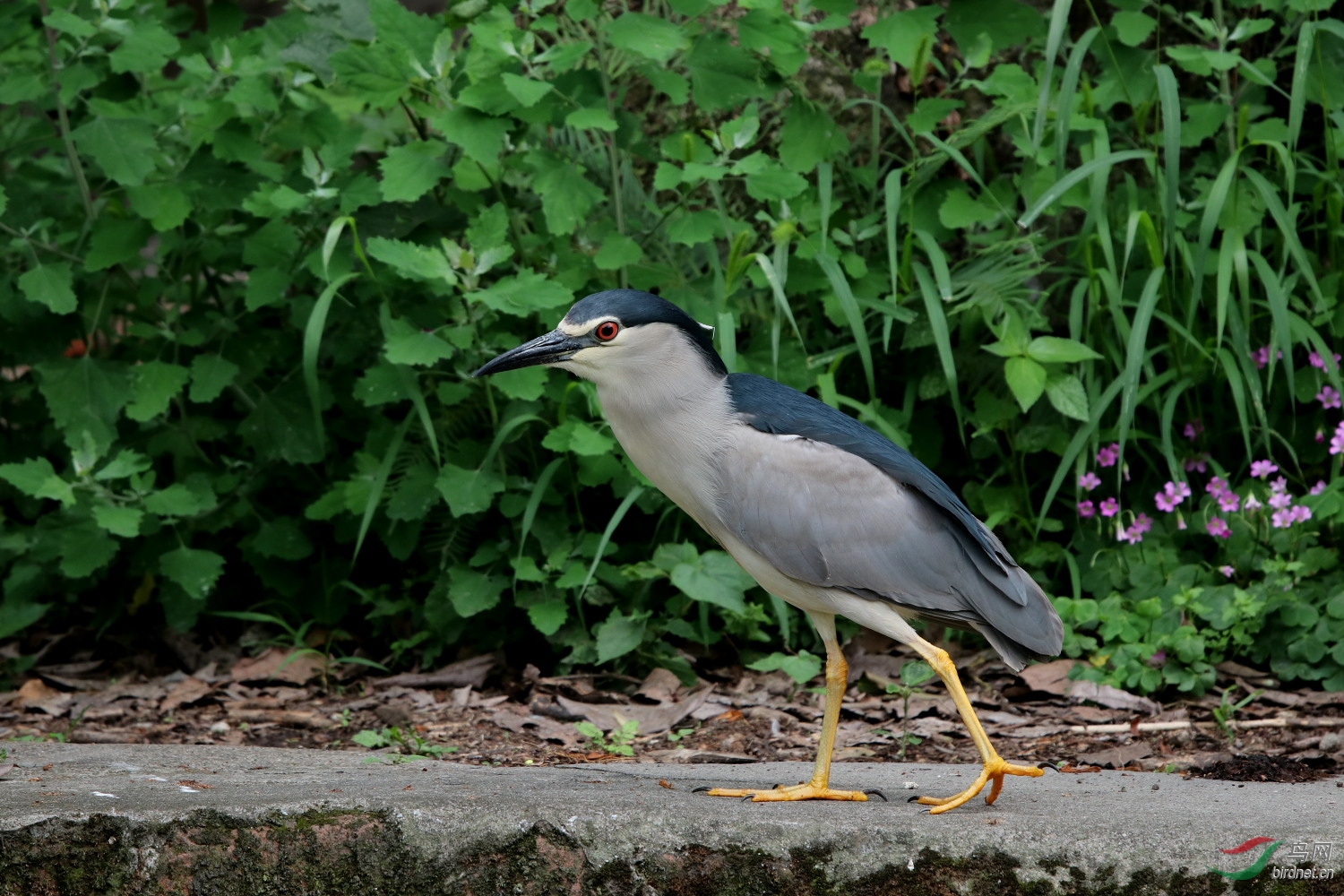 IMG_1252.JPG