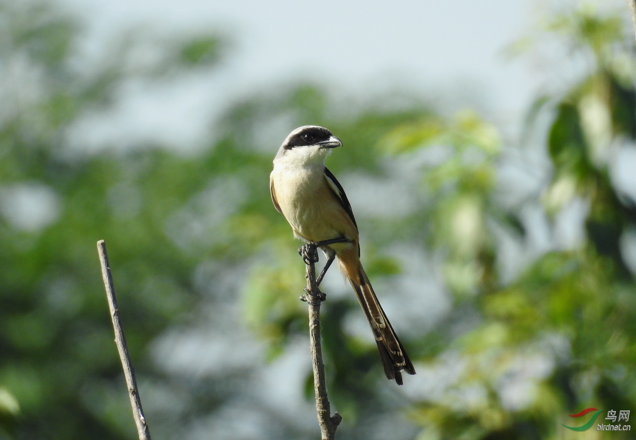 DSCN9530.JPG