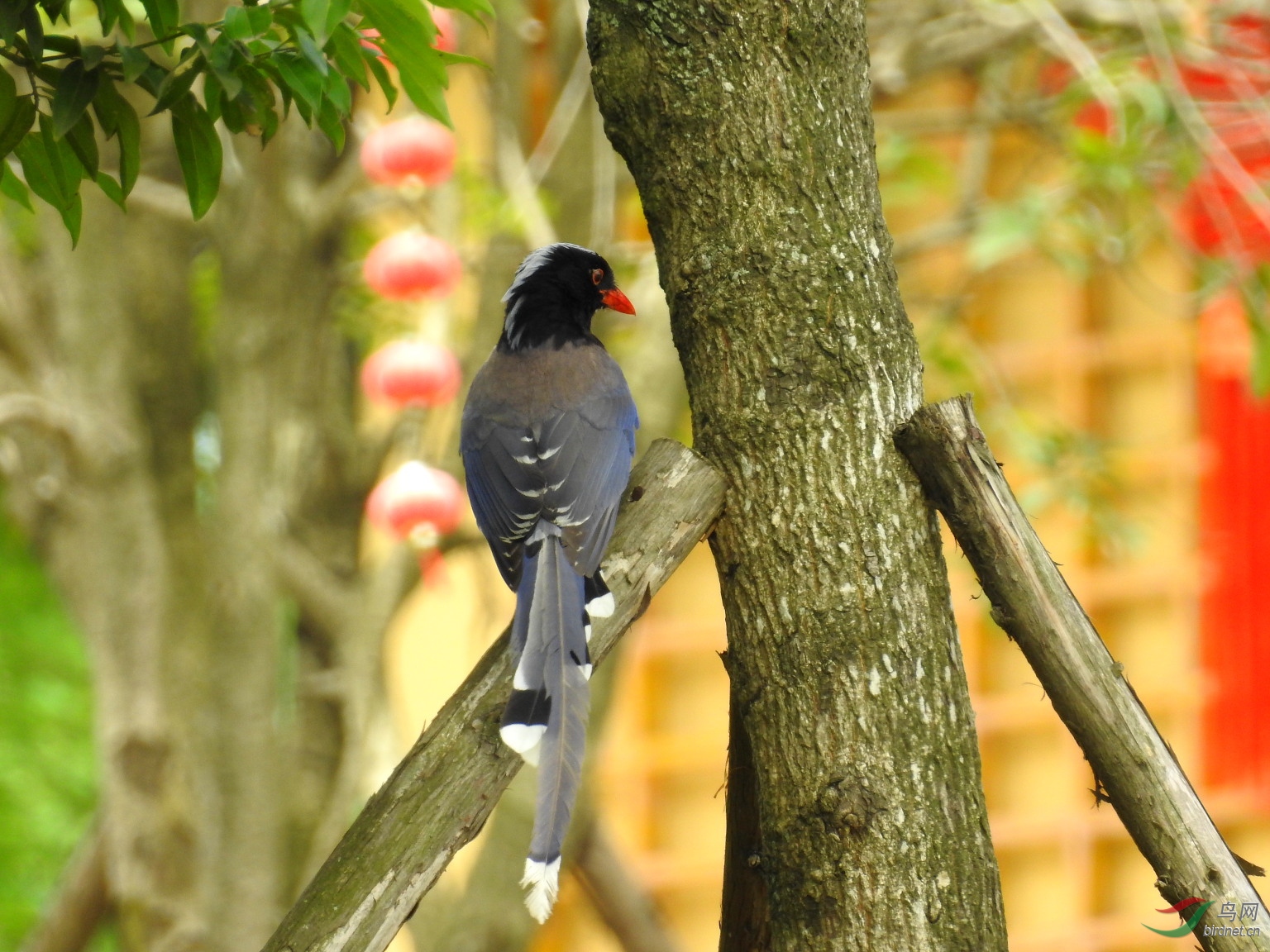 DSCN9262.JPG