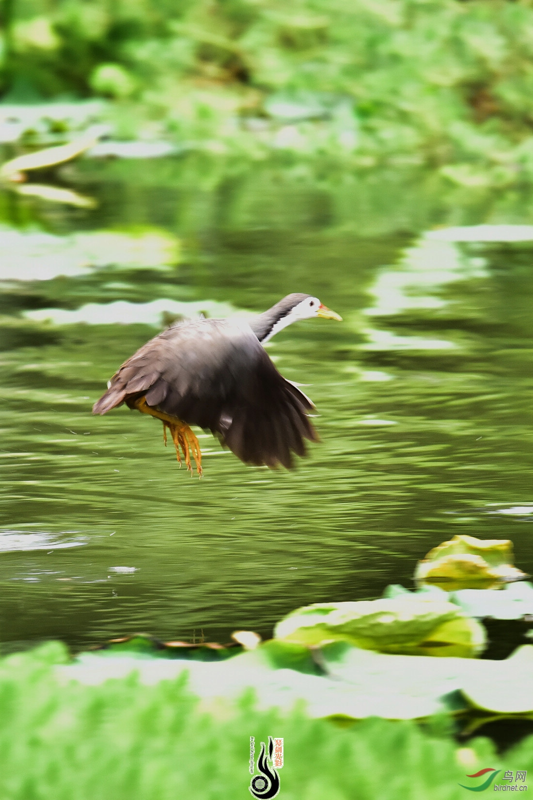DSC_1152.JPG