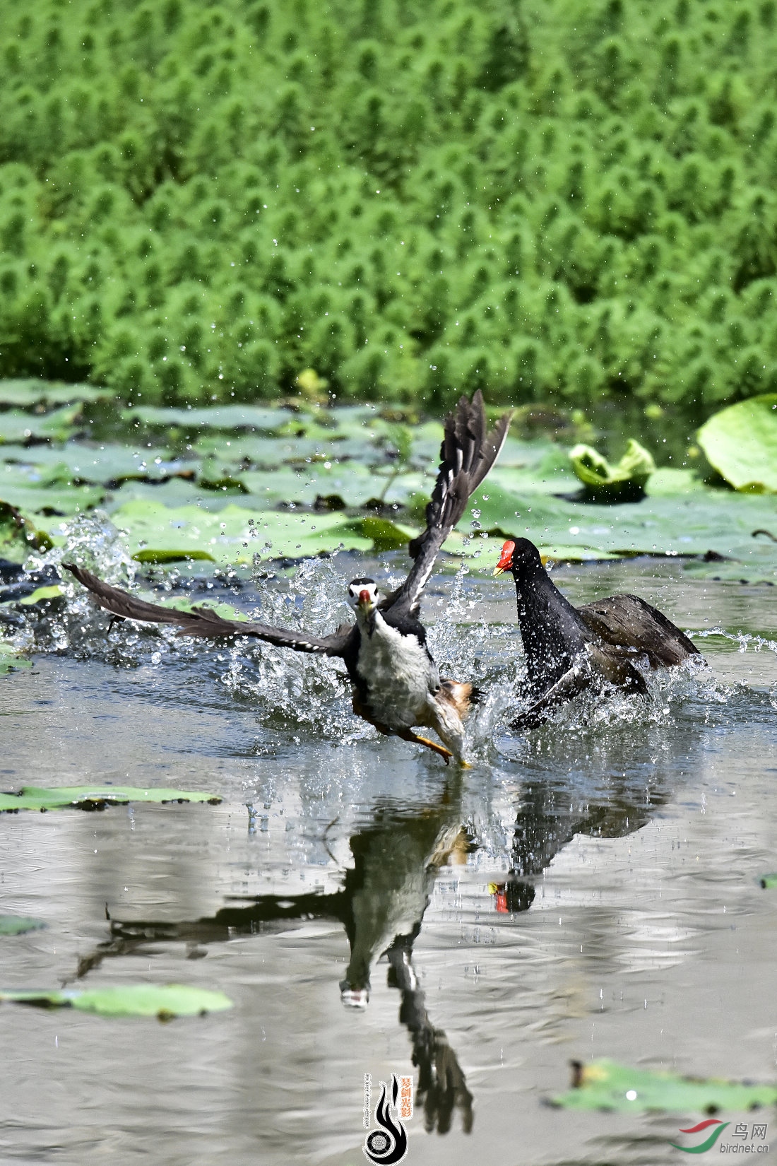 DSC_1491.JPG