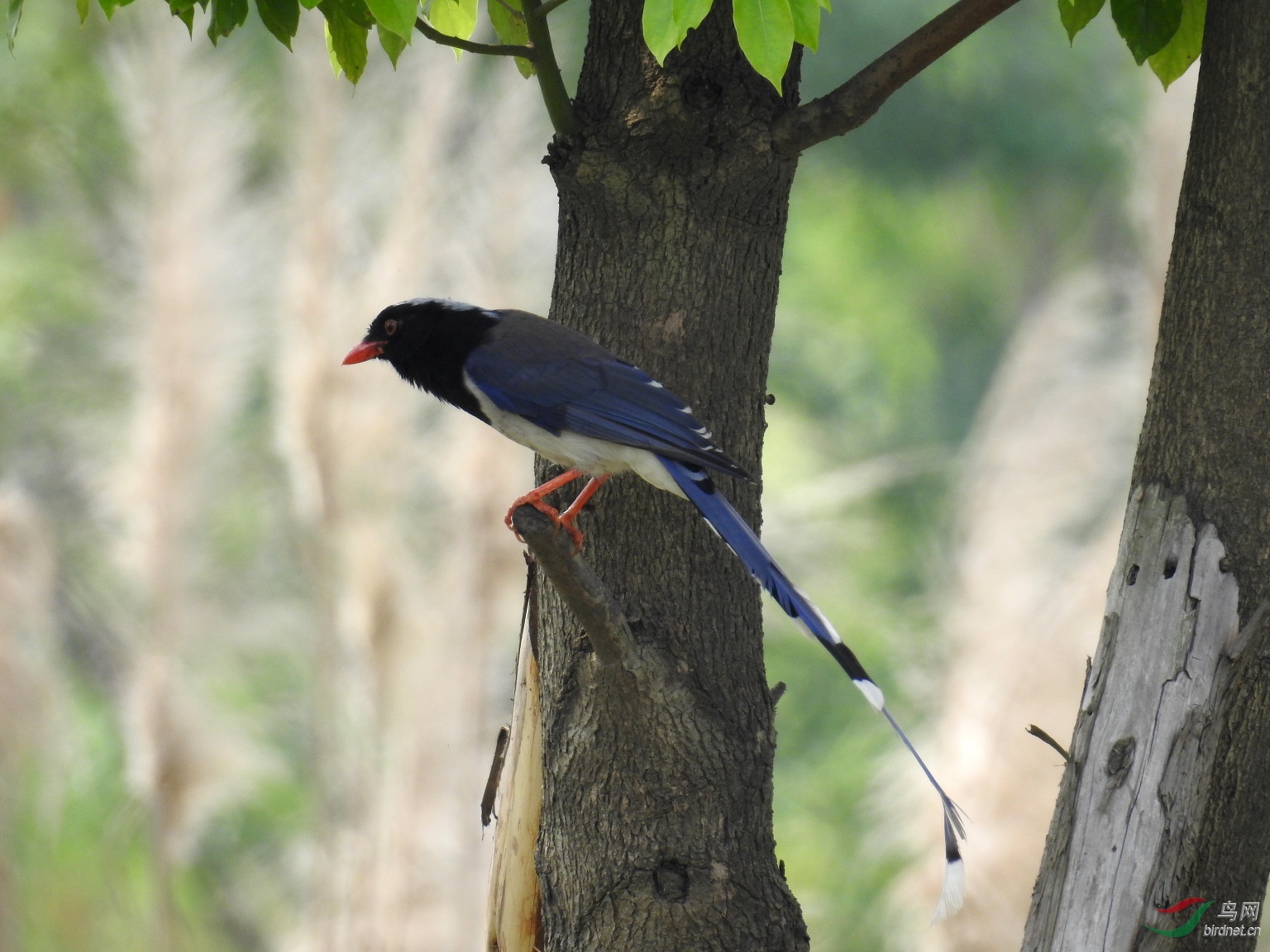 DSCN9352.JPG