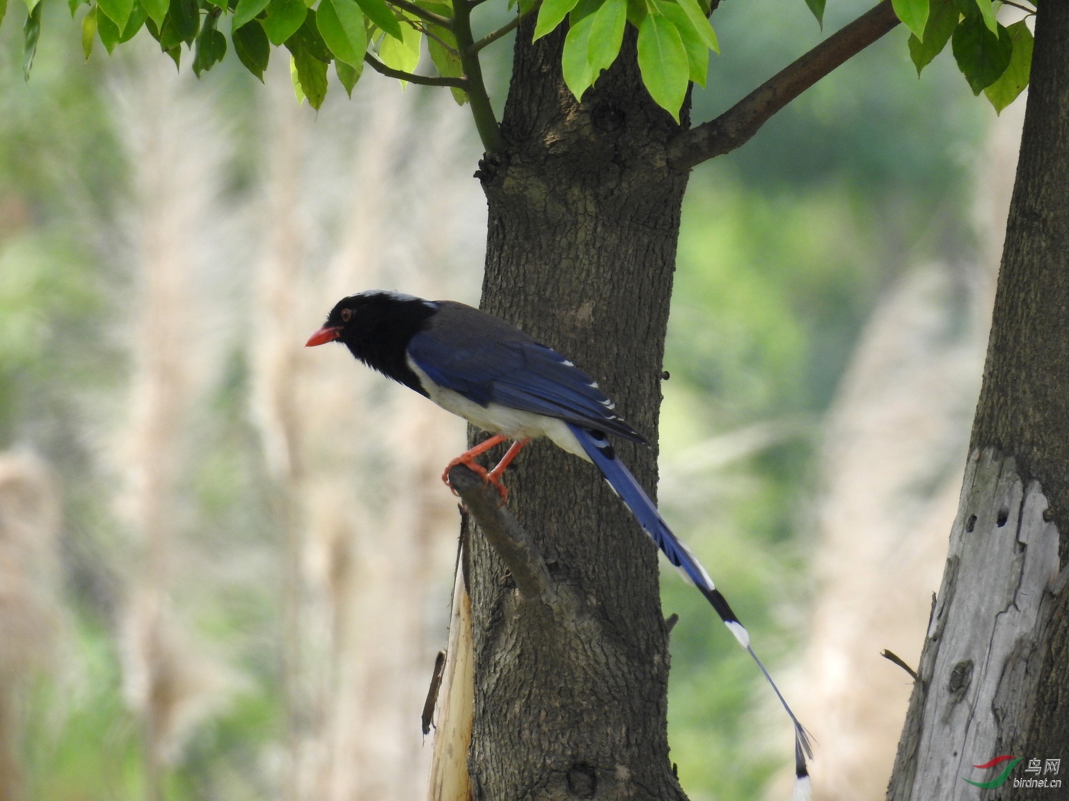 DSCN9353.JPG