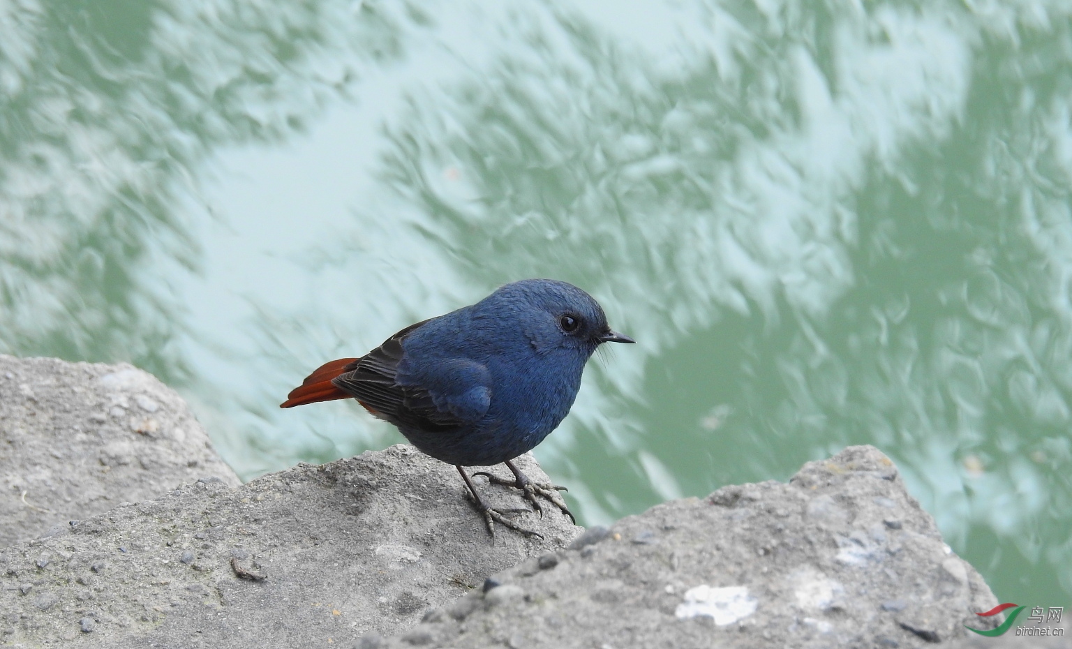 3�� 700mm����