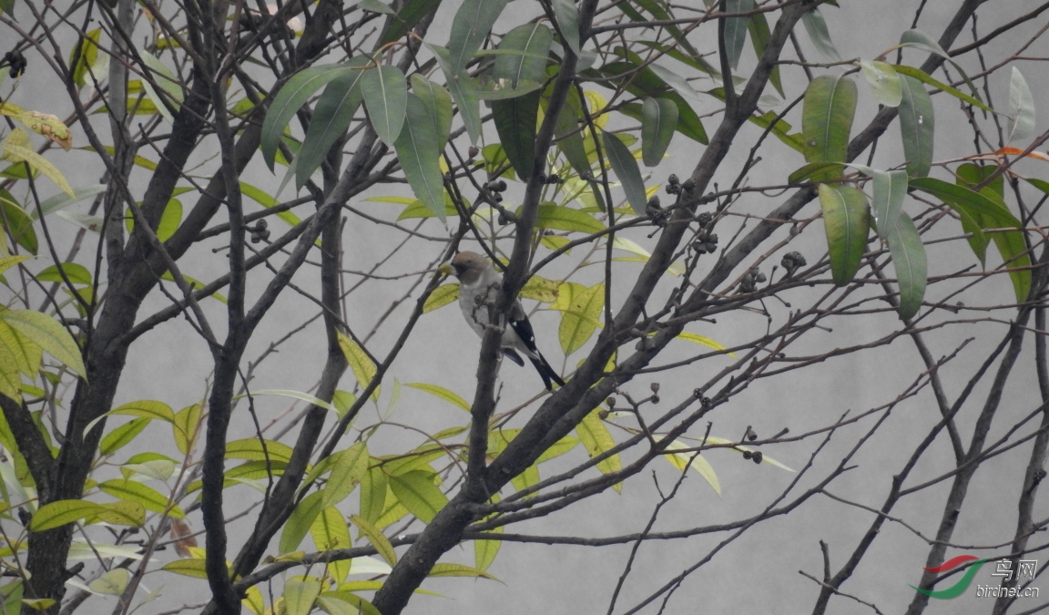 ������60��