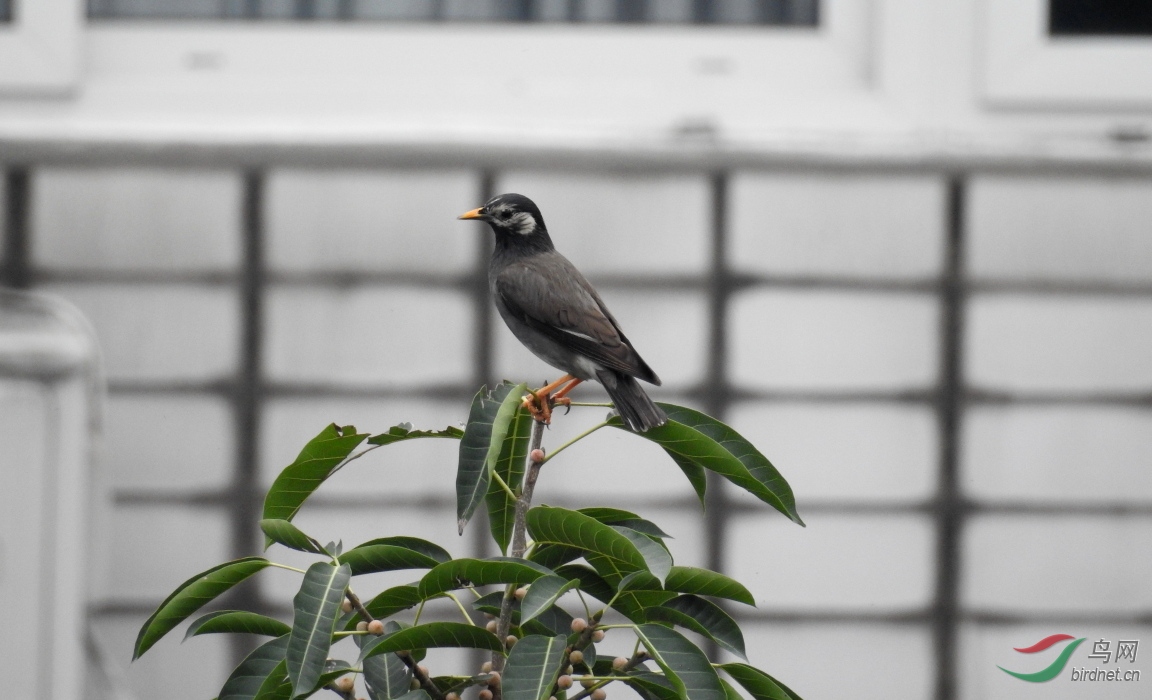 �����50��