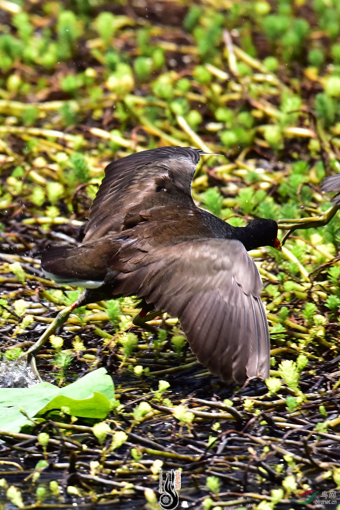 DSC_3867.JPG