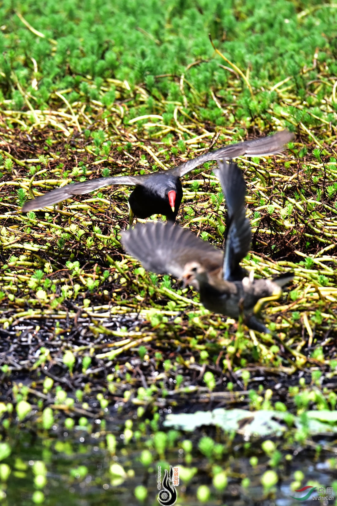 DSC_3874.JPG