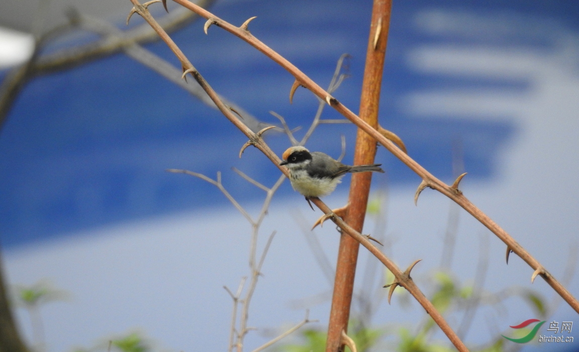 DSCN9728.JPG