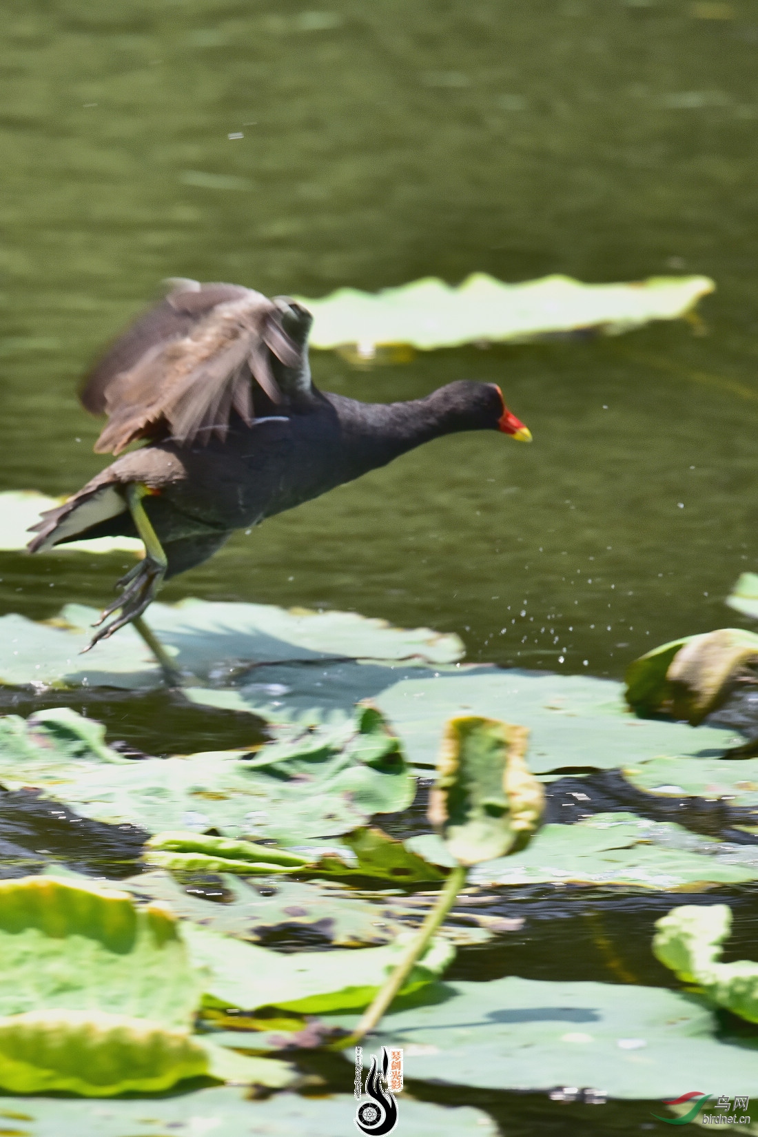 DSC_3896.JPG