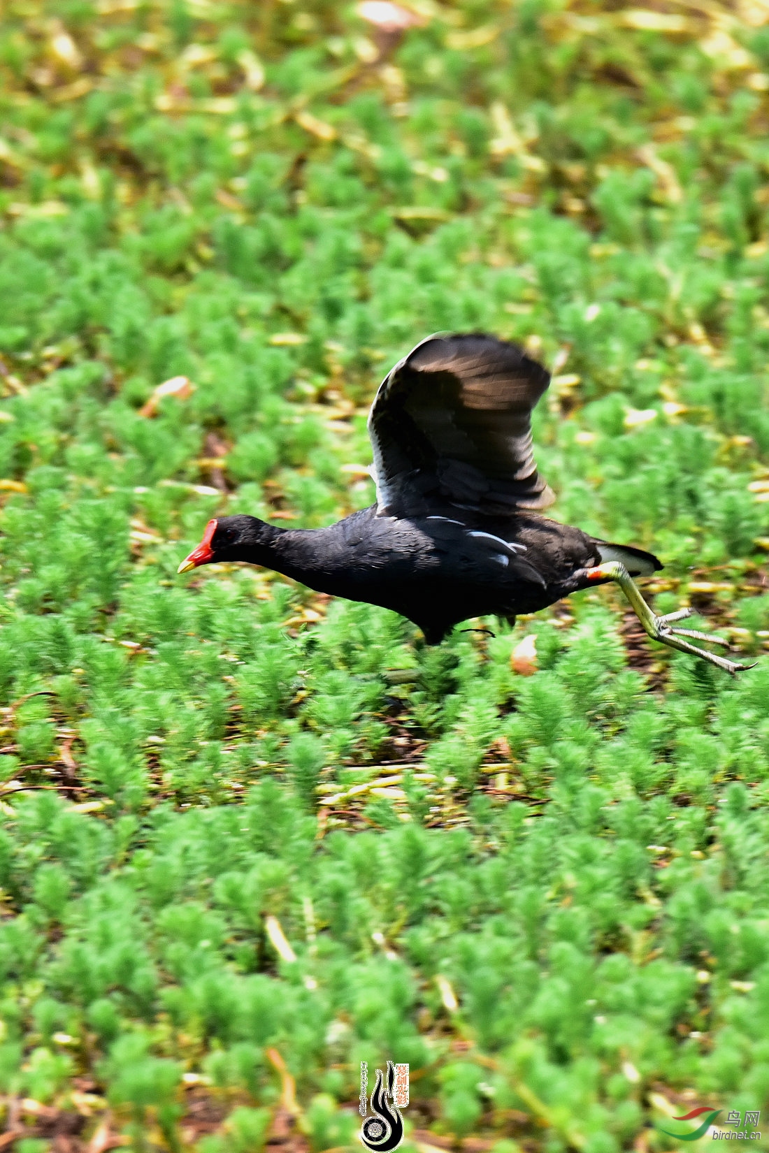 DSC_3914.JPG